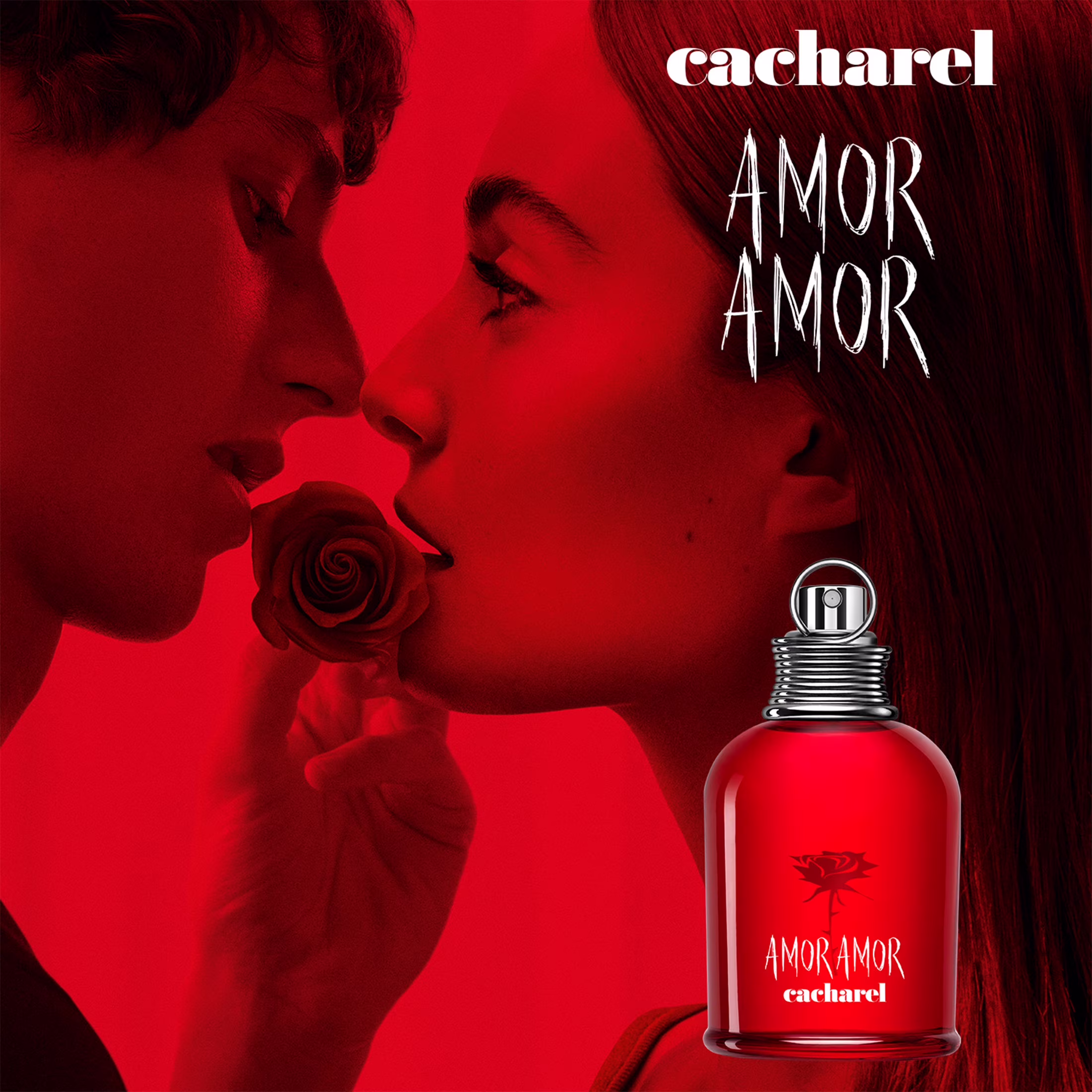 NICHE SULTAN - AMOR (Kalbin Tutuştuğu O An)