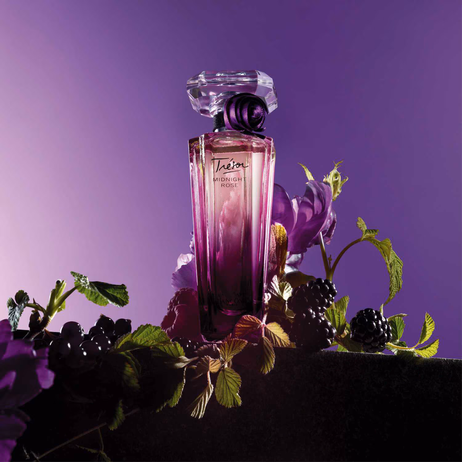 NICHE SULTAN - MIDNIGHT ROSE (Aşk Oyununu)